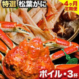 【ふるさと納税】【4ヶ月定期】カニ 特選 松葉ガニ 計800g越え 選べる ボイルor活き 1杯 2杯 3杯 タグ付き《11月上旬-3月中旬頃出荷》鳥取県 八頭町 送料無料 蟹 かに 姿 鍋 ズワイガニ ズワイ蟹 ボイル 松葉ガニ 冷蔵便 定期 4回