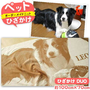 yӂ邳Ɣ[ŁzybgI[_[Chjbg ЂuDUOv L O󂠂݂̃Z^[ s90ȓɏoח\(yj)t挧  vo I[_[Ch Ђ ybg 