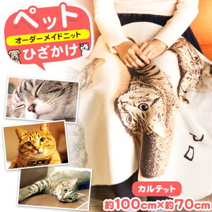 yӂ邳Ɣ[ŁzybgI[_[Chjbg ЂuJebgv L O󂠂݂̃Z^[ s90ȓɏoח\(yj)t挧  vo I[_[Ch Ђ 