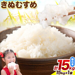 yӂ邳Ɣ[Łz挧Y ʂނ15kg  15kg×1 tHXgP{s10{-11oח\t挧     