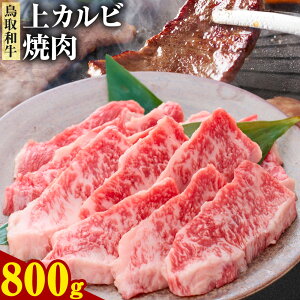 yӂ邳Ɣ[Łza Jr ē Iׂ 450g 800g  ܂̂s30ȓɏoח\(yj)t挧  a   ₫ɂ LjN Jr