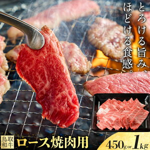 yӂ邳Ɣ[Łza [X ē ēp Iׂ 450g 1kg  ܂̂s30ȓɏoח\(yj)t挧  a   [X [X ₫ɂ 