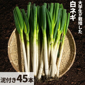 yӂ邳Ɣ[Łzy2026Ns\zIׂ w͔| lM DȂ or Dt D_s12{-4{oׁt挧  lM VN Ă Ă