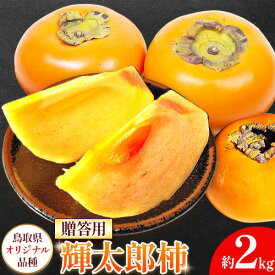 【ふるさと納税】柿 輝太郎柿 贈答用 約2kg 鳥取県オリジナル品種 Tottori食のまごころ農園《10月上旬-10月末頃出荷》鳥取県 八頭町 柿 かき カキ 輝太郎柿 きたろうがき 甘柿 果物 フルーツ 秋 旬 送料無料