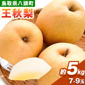 yӂ邳Ɣ[Łzys\z  H 5kg (7`9ʓ) {؂܂ s2025N11{`2026N1{oׁt 挧   Ȃ ʕ t[c  5kg