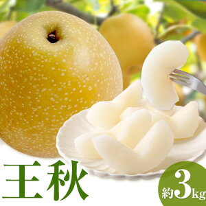 yӂ邳Ɣ[Łzys\zH 3kg (46) c_s2025N10{12{oח\t挧   Ȃ iV ʕ t[c ӂ邳Ɣ[  H ʎ ʏ` 