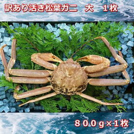 【ふるさと納税】【先行予約】訳あり活きご自宅用松葉ガニ　大　1枚　800～940g前後MK11 | 蟹 魚介類 水産 食品 人気 おすすめ 送料無料