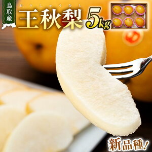 yӂ邳Ɣ[Łzys\z H Y 5kg ( 5kg × 1 ) |  Ȃ H H 5kg ʕ t[c iV Â ʏ` a  Â  Y ʎ 挧 O