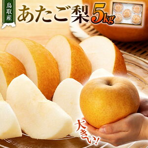 yӂ邳Ɣ[Łzys\z  Y 5kg ( 5kg × 1 ) |  Ȃ   5kg ʕ t[c iV Â ʏ` a  Â  Y ʎ 挧 O
