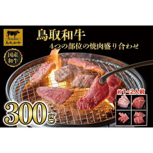 yӂ邳Ɣ[Łza4̕ʂ̏ē荇킹300g 1243 |   ɂ Hi 挧Y lC   Mtg