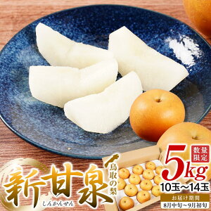 yӂ邳Ɣ[Łz VÐ 5kg ( 5kg × 1 ) |  Ȃ VÐ VÐ 5kg ʕ t[c iV Â ʏ` a  Â  Y ʎ 挧 O