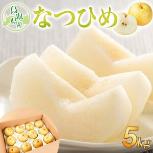 yӂ邳Ɣ[Łz ȂЂ Y 5kg× 1 |  Ȃ ȂЂ 5kg ʕ t[c iV Â ʏ` a  Â  Y \I ɂ Ȃ ʎ 挧 O