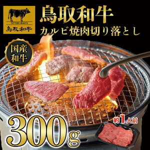 yӂ邳Ɣ[ŁzaJrē@؂藎Ƃ 300g 1297 |   ɂ Hi 挧Y lC   Mtg