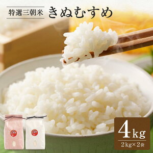 yӂ邳Ɣ[Łzys\zߘa7NY V  IO ʂނ OY 4kg ( 2kg × 2 ) |    Hi lC  