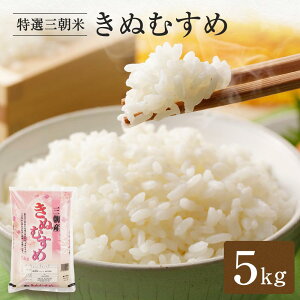 yӂ邳Ɣ[Łzys\zߘa7NY V  IO ʂނ OY 5kg |    Hi lC  