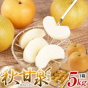 yӂ邳Ɣ[Łz HÐ Y 5kg× 1 |  Ȃ HÐ 5kg ʕ t[c iV Â ʏ` a  Â  Y \I ɂ Ȃ ʎ 挧 O