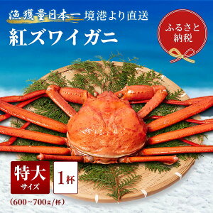 yӂ邳Ɣ[Łzys\ 10`11zyIZuzYCKjigYCKjj1ti600`700g×1j | I YCKj  Y Hi