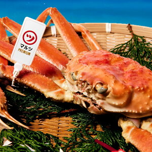 �y�ӂ邳�Ɣ[�Łz�y1���`5�������z�y�I�Z���u�z�Y���C�K�j�i�g�Y���C�K�j�j����2�t�i600�`700g×2�j