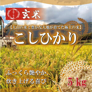 yӂ邳Ɣ[Łzߘa7N 挧Y Ђ茺5kg