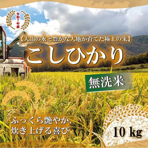 yӂ邳Ɣ[Łzߘa7N 挧Y Ђ薳10kg