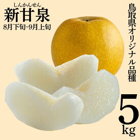 【ふるさと納税】梨 なし 新甘泉 5kg 東郷 | しんかんせん 鳥取県 湯梨浜町 果物 フルーツ 特産品 送料無料 2026年 先行予約 先行受付