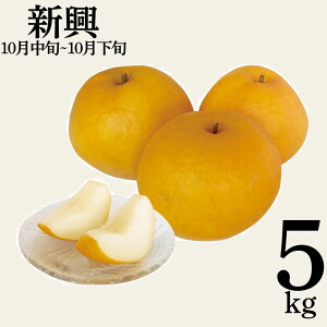yӂ邳Ɣ[ŁzV5kg