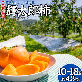 【ふるさと納税】柿 訳あり ご家庭用 4kg 輝太郎 きたろう 鳥取県 オリジナル | 22M