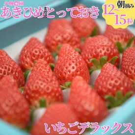 【ふるさと納税】 いちご デラックス セット | あきひめ 章姫 とっておき 鳥取オリジナル イチゴ 苺 小林農園 詰め合わせ 詰合せ 大粒