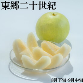 【ふるさと納税】梨 なし 二十世紀梨 5kg 3kg 2kg 東郷 | 二十世紀 鳥取県 湯梨浜町 果物 フルーツ 特産品