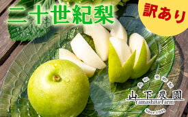 【ふるさと納税】梨 訳あり ご家庭用 二十世紀 5kg 鳥取県産 湯梨浜 東郷 名産 9M | 二十世紀梨 鳥取県 湯梨浜町 果物 フルーツ 特産品