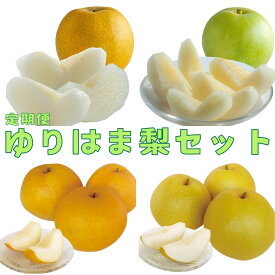 【ふるさと納税】梨 なし 定期便 4回 5kg 計 20kg 東郷 15M | 二十世紀梨 二十世紀 新甘泉 しんかんせん 新興 しんこう 王秋 おうしゅう 鳥取県 湯梨浜町 果物 フルーツ 特産品