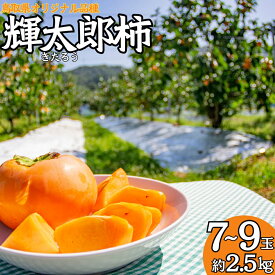 【ふるさと納税】柿 2.5kg 輝太郎 きたろう 鳥取県 オリジナル | 21M
