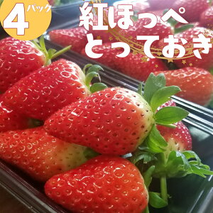 yӂ邳Ɣ[ŁznC