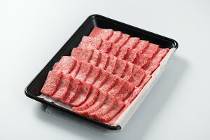 yӂ邳Ɣ[ŁzaIC55Jrkēpl500g