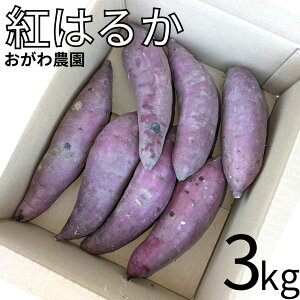 yӂ邳Ɣ[Łz_ g͂邩3kg