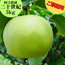 【ふるさと納税】梨 訳あり ご家庭用 二十世紀 5kg 阿弓農園 | 二十世紀梨 鳥取県 湯梨浜町 果物 フルーツ 特産品
