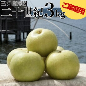 【ふるさと納税】梨 訳あり ご家庭用 二十世紀 3kg 三ツ田農園 | 二十世紀梨 鳥取県 湯梨浜町 果物 フルーツ 特産品