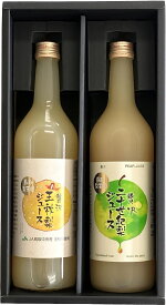 【ふるさと納税】二十世紀梨ジュース・王秋梨ジュースセット