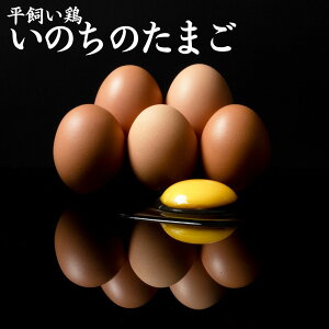 yӂ邳Ɣ[Łz{́ŵ̂܂x