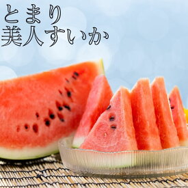 【ふるさと納税】【ふるさと納税】スイカ 4L 3L 2L 9.5kg 8kg 7kg 1玉 とまり 美人 西瓜 | 鳥取県 湯梨浜町 果物 フルーツ 特産品