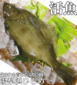 yӂ邳Ɣ[ŁzlЂ