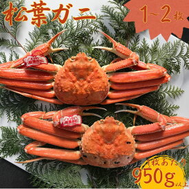 【ふるさと納税】 松葉ガニ 浜ゆで 950g以上 600g以上 特大 タグ付き | 蟹 かに 松葉蟹 浜下商店