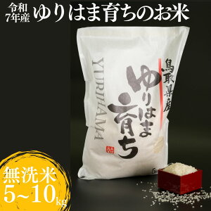 【ふるさと納税】 コシヒカリ お米 無洗米 5kg 10kg 令和7年産 | ゆりはま育ち こしひかり 新米