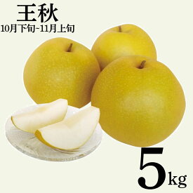 【ふるさと納税】梨 なし 王秋 5kg 東郷 12M | おうしゅう 鳥取県 湯梨浜町 果物 フルーツ 特産品
