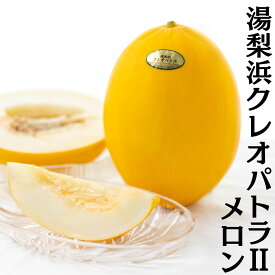 【ふるさと納税】【ふるさと納税】メロン クレオパトラ 2 5kg 4玉 5玉 6玉 2玉 | 鳥取県 湯梨浜町 果物 フルーツ 特産品