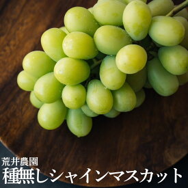 【ふるさと納税】シャインマスカット 2kg 1.3kg 2房 3房 4房 荒井農園 種なし