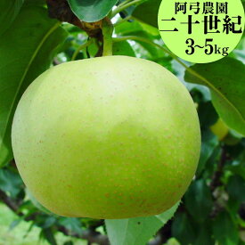 【ふるさと納税】梨 二十世紀 5kg 3kg 鳥取県産 阿弓農園 | 二十世紀梨 鳥取県 湯梨浜町 果物 フルーツ 特産品