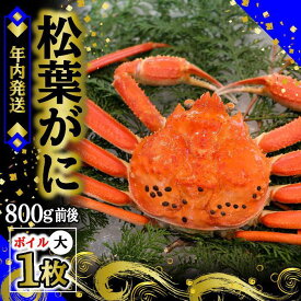 【ふるさと納税】【先行予約】松葉ガニ（ボイル）大1枚　約800g【年内配送】※着日指定不可※北海道、沖縄、一部離島への配送不可《ずわいがに　かに　カニ　蟹》 | 蟹 魚介類 水産 食品 人気 おすすめ 送料無料