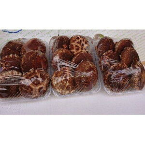 【ふるさと納税】【先行予約】大山山麓 原木しいたけ ( 200g × 3パック ) | 野菜 やさい 食品 人気 おすすめ 送料無料