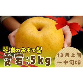 【ふるさと納税】数量限定 鳥取県産梨 愛宕（あたご） 5kg（5～6玉） | フルーツ 果物 くだもの 食品 人気 おすすめ 送料無料
